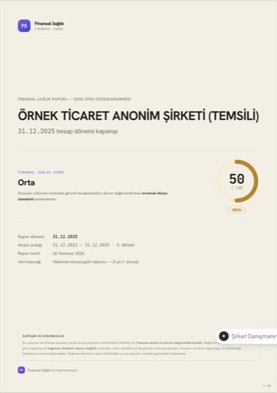 Finansal Sağlık Raporu kapağı, temsili veri