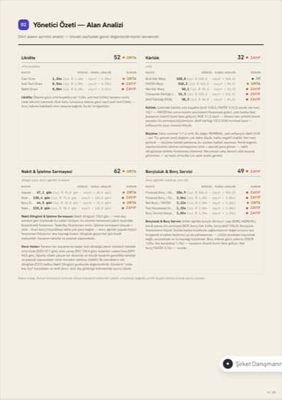 Risk sinyalleri rapor sayfası, temsili veri